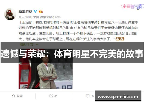 遗憾与荣耀：体育明星不完美的故事